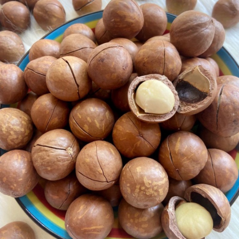 Hạt Macca Nứt Vỏ Tây Nguyên Thượng Hạng Annut Thơm Ngon,Giòn Tan, Bổ Dưỡng, Ăn Vặt, Eatclean,keto, Ăn Kiêng 500gr