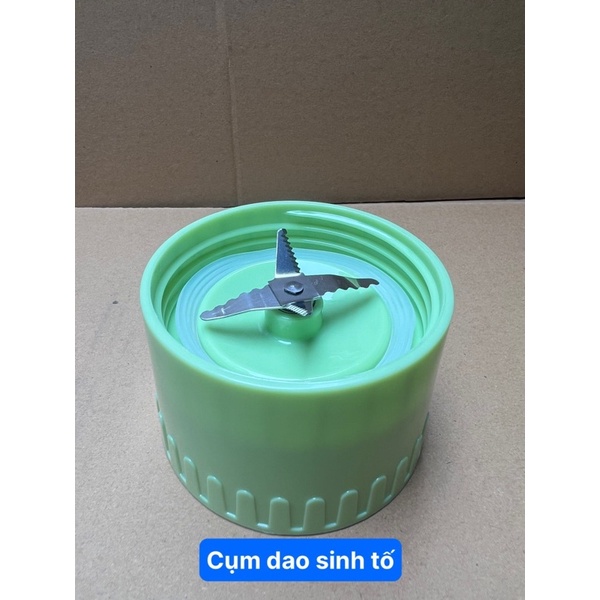 Dao xay saiko , hasuka đời mới