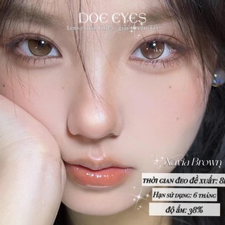 Kính áp tròng DOE EYES [Xavia Gray có cận đến 6.5] - Lens Hàn style douyin -  Kính áp tròng cận 