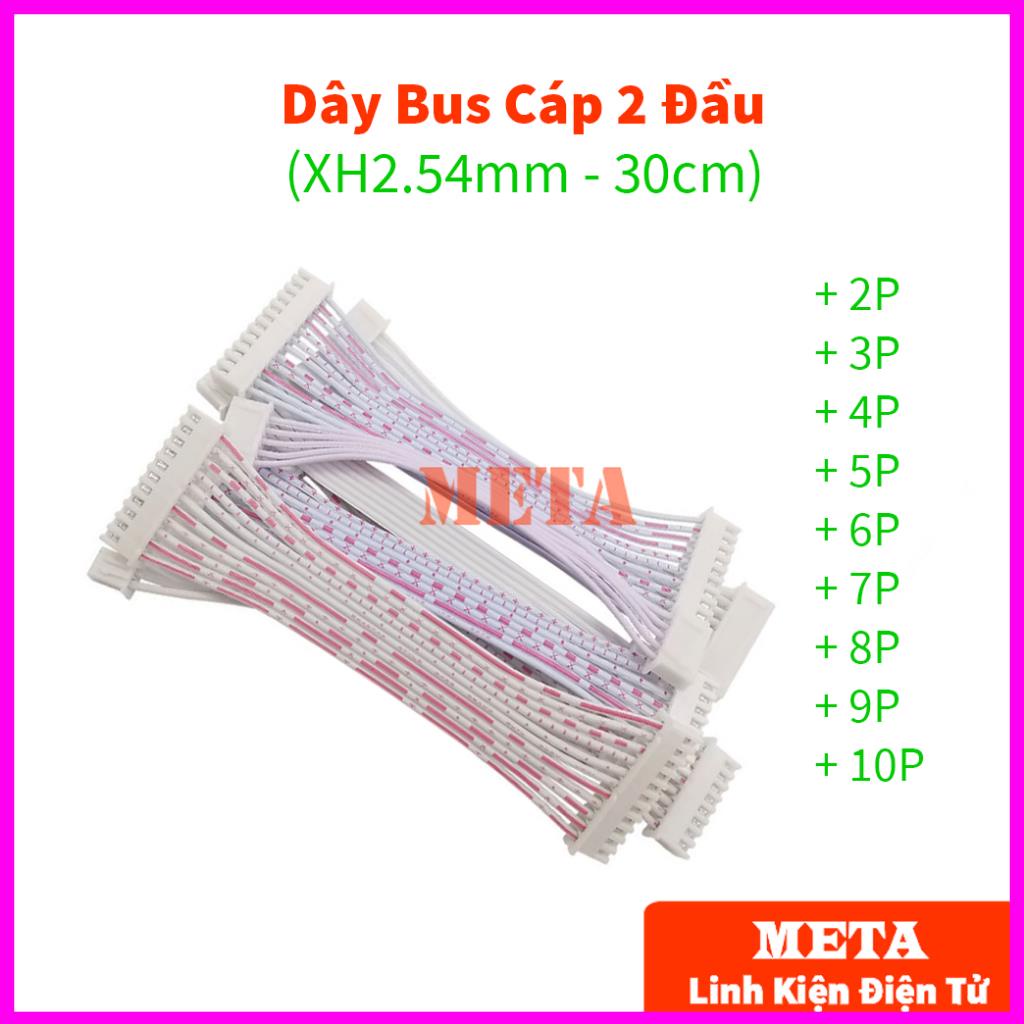 Dây Bus Cáp Kết Nối XH2.54mm 2 đầu dài 30cm 2P-10P