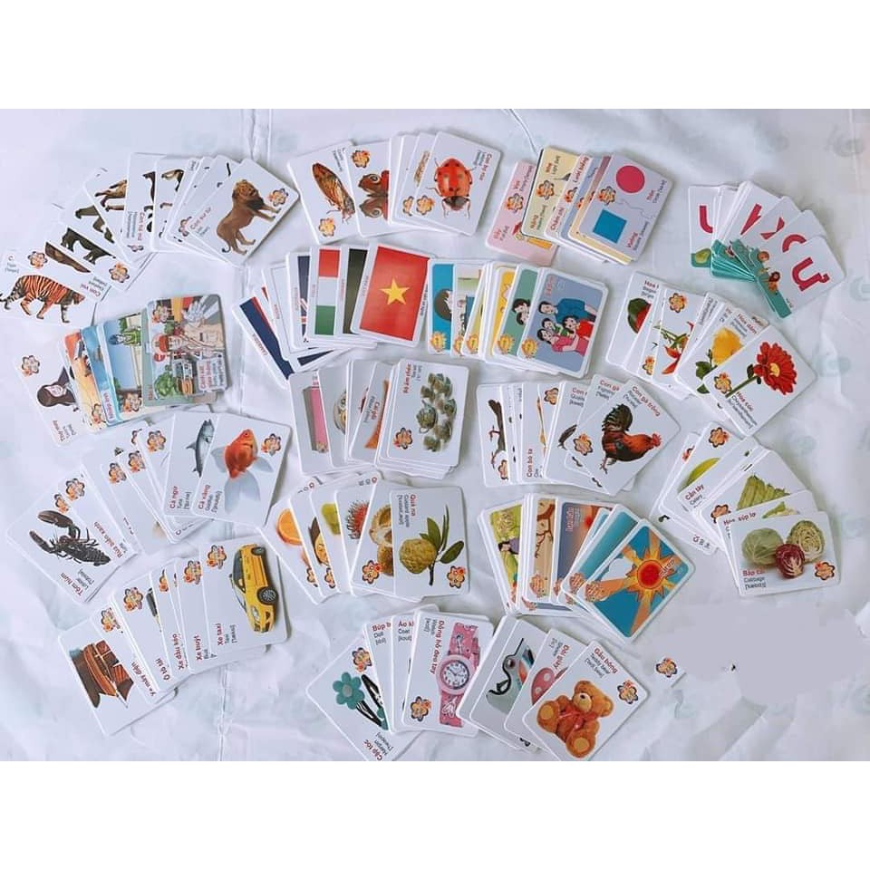 THẺ HỌC THÔNG MINH CHO BÉ, BỘ 416 THẺ HỌC THÔNG MINH NHỎ, BỘ 100 THẺ HỌC THÔNG MINH LỚN
