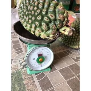 dứa dại rừng tây bắc 75k 1kg