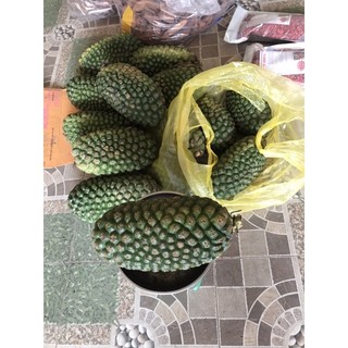 dứa dại rừng tây bắc 75k 1kg