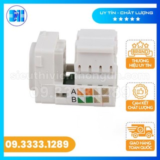 Nhân mạng âm tường RJ45 hãng Sino lỗ tròn S18