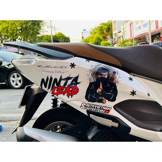 Tem NINJA LEAD 2017-2023