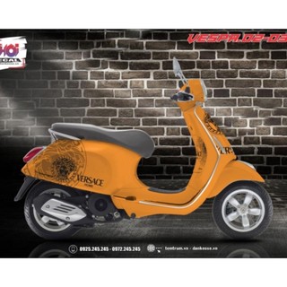 Tem  Vespa Sprint/Primavera