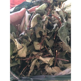 Lá Cây Hà Thủ Ô Đỏ khô sạch (dây + lá)