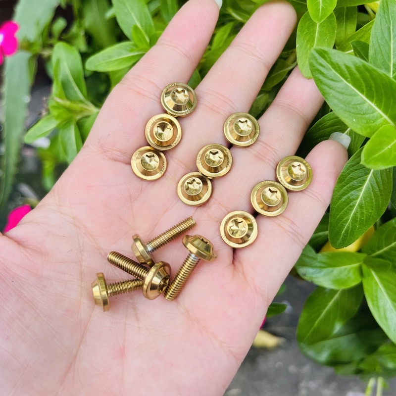 Ốc nắp dầu salaya inox 304 cho tất cả xe máy