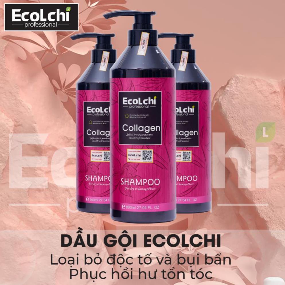 Dầu gội xả siêu mềm mượt Ecolchi Collagen 800ml phục hồi tóc hư tổn, dưỡng tóc khô xơ rối, uốn nhuộm CH