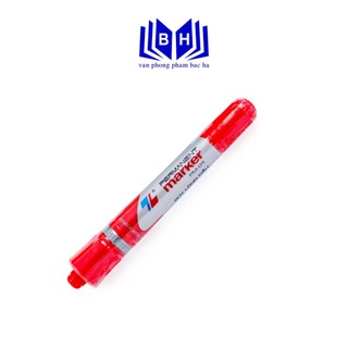 Bút lông dầu/ bút dạ dầu tl pm-09 0.8mm & 6mm - bút lông dầu 2 dầu/ bút dạ dầu 2 đầu
