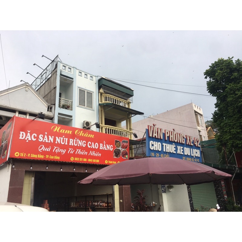 Bánh nướng Hoàng Thảo Hạ Lang  nhân  thập cẩm, đậu xanh, tàu xá.