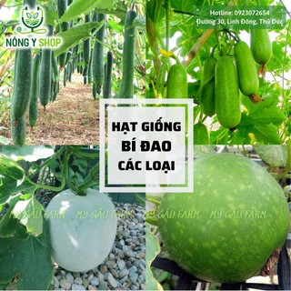 Hạt giống các loại Bí đao Rạng Đông, Gói 0.2g, bí đao chanh, bí đao tròn, bí đao trái dài, bí đao xanh, bí đao Java