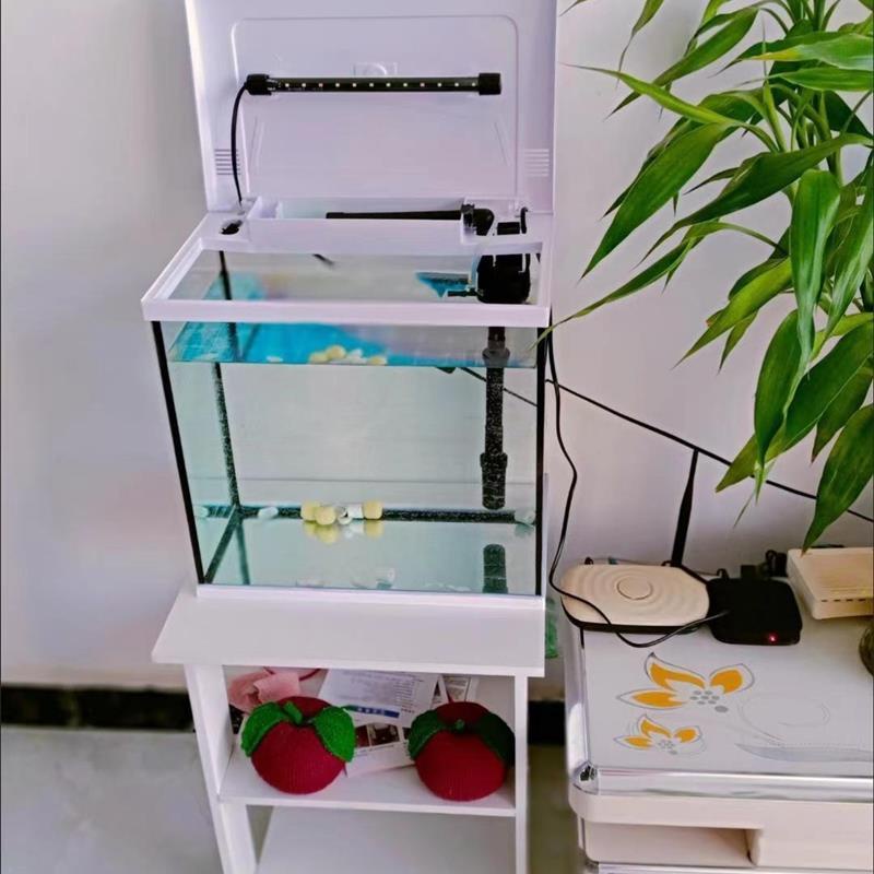 Đồ chơi giun đột biến