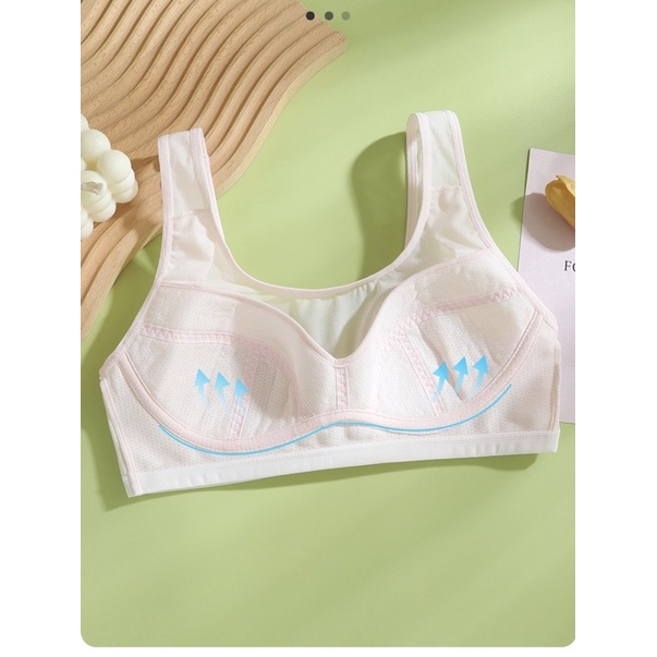 Áo ngực học sinh T004