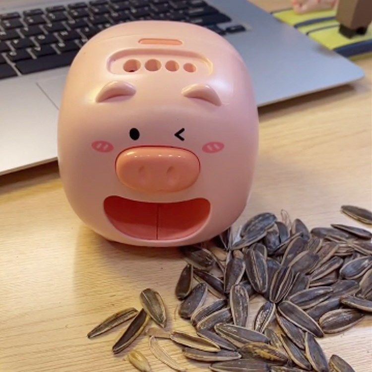 Khay Đựng Trái Cây / Hạt Giống Dưa Hấu Tương Thích Với internet Tự Động Tạo Mẫu Cơm Dưa Hấu