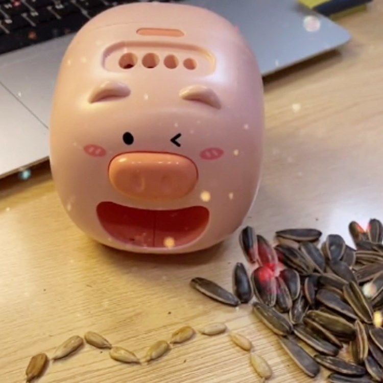 Khay Đựng Trái Cây / Hạt Giống Dưa Hấu Tương Thích Với internet Tự Động Tạo Mẫu Cơm Dưa Hấu