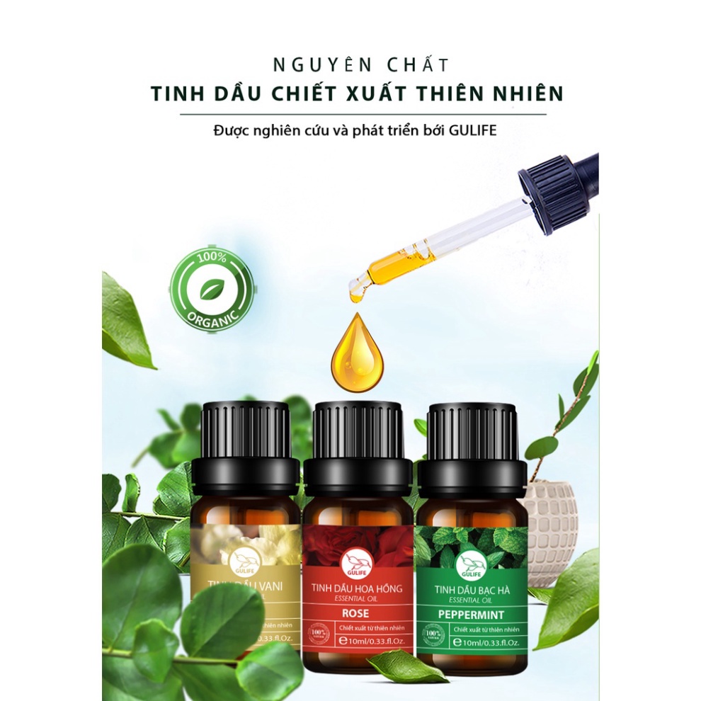 Nature Tinh Dầu Thiên Nhiên Cao Cấp Gulife Official Asia - Sả Chanh