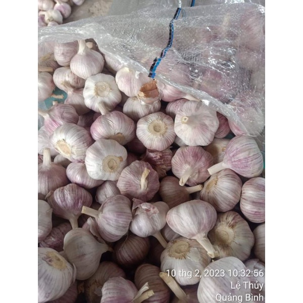 1kg Tỏi trắng củ to thơm ngon