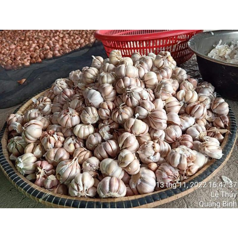 1kg Tỏi trắng củ to thơm ngon