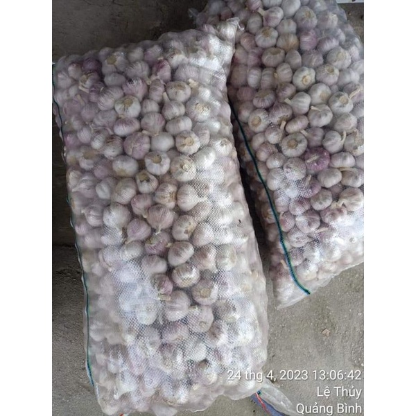 1kg Tỏi trắng củ to thơm ngon