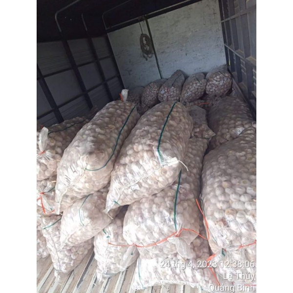 1kg Tỏi trắng củ to thơm ngon