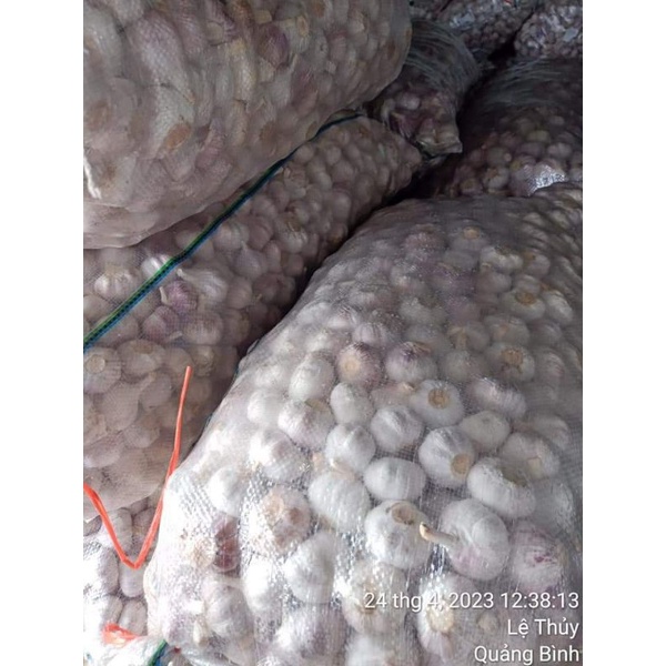 1kg Tỏi trắng củ to thơm ngon