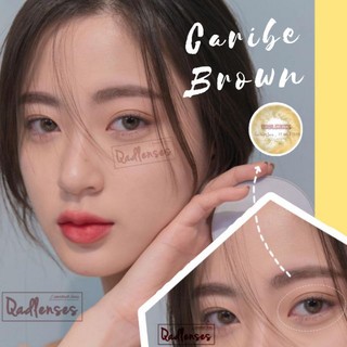 Caribe Brown . Qadlenses . Lens vân xoáy trong veo _ Kính áp tròng