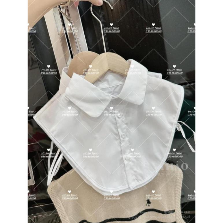 Set 2 cổ áo sơ mi ve tròn và ve bèo hot