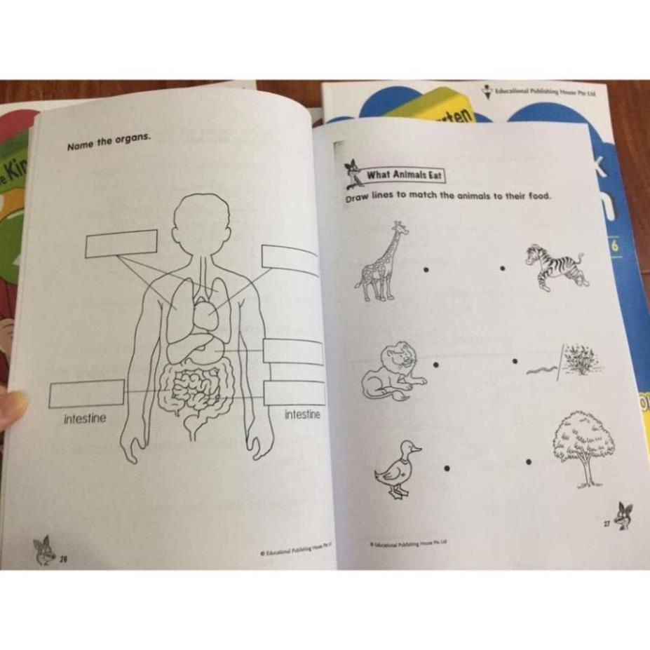 Kindergarten Superbook: Science - Maths - English - Character Building | 4q.