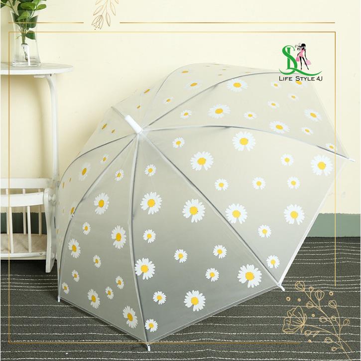 Dù che mưa trong suốt, dù trong cute, dù hoa cúc, dù trong suốt cao cấp chụp hình - Life Style 4U
