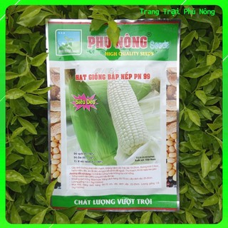 Hạt Giống Bắp Nếp Nù Cao Sản PN-100 Phú Nông - Gói 50g - 100g Wax Corn