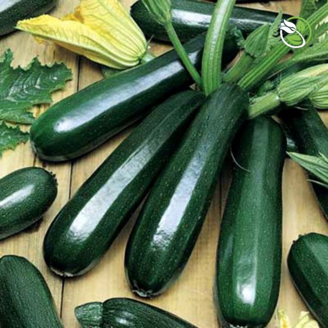 Hạt Giống Bí Ngồi Hàn Quốc  PN-140 Phú Nông - Gói 1g - Korean Zucchini
