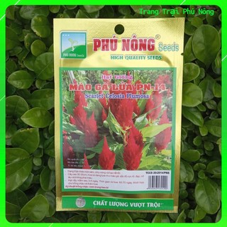 Hạt Giống Hoa Mào Gà Lửa PN-14 Phú Nông - Gói 0.2g - Scariet Celosia Plumosa