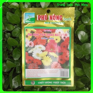 Hạt giống hoa đồng tiền nhiều màu pn-51 phú nông - gói 10 hạt - gerbera mixed