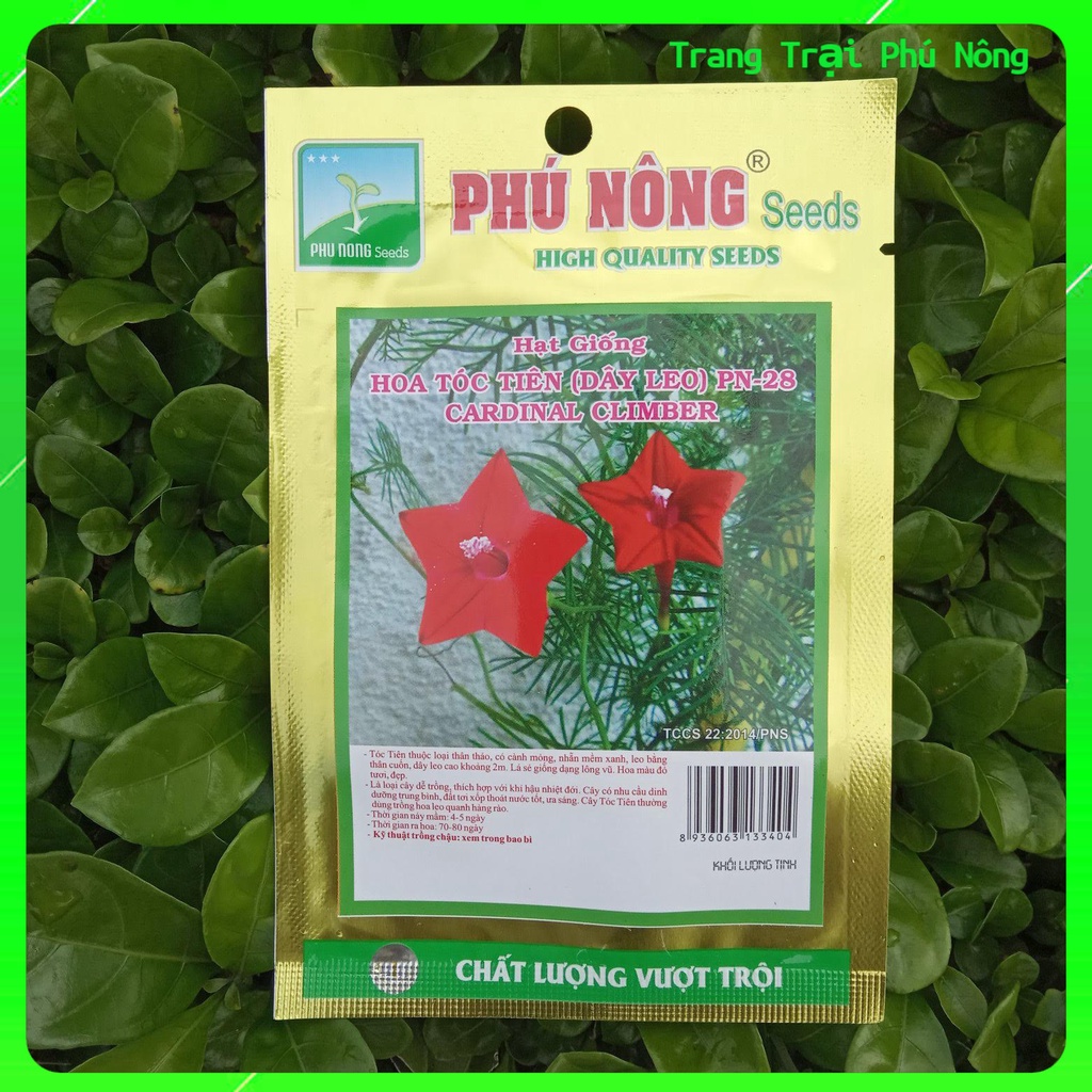 Hạt Giống Hoa Tóc Tiên ( Dây Leo) PN-28 Phú Nông - Gói 300mg - Cardinal Climber