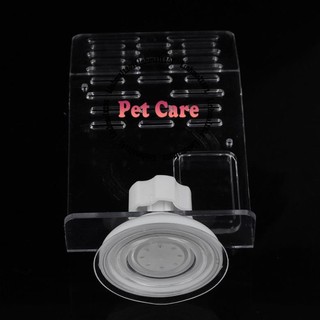 [Sale] [hot sale]Bệ phơi nắng cho rùa trong suốt