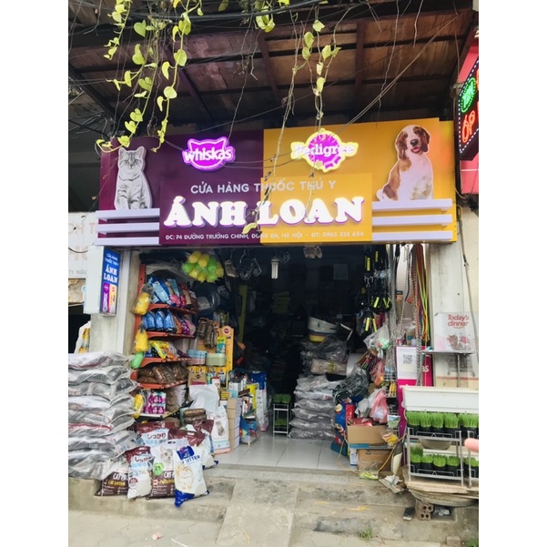 Pate Nekko cho mèo gói 70g