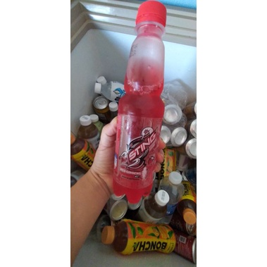 Lốc 6 chai sting dâu chai 330ml