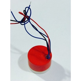 Kèn xi nhan xe máy tiếng chim, nhạc lambada, tít tít, chíp kèn xi nhan