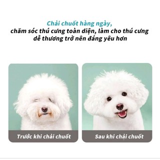 LƯỢC CHẢI VE RẬN CHO CHÓ MÈO