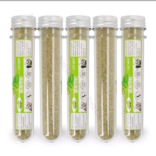 Ống cỏ bạc hà Cat Mint cho mèo