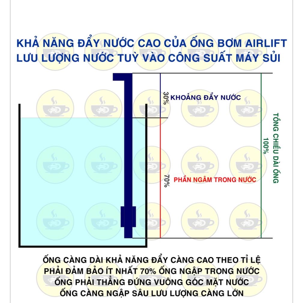 Ống bơm airlift, bơm nước bể cá bằng khí oxy, tự chế lọc vi sinh