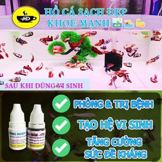 🍿 Cám BECO 1 - Thức ăn cho cá con 🐣 BETTA COFFY ☕️