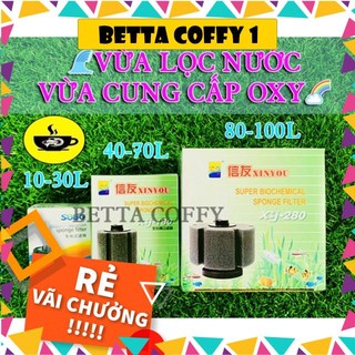 Lọc Vi Sinh BIO - Không cần thay nước cho hồ cá