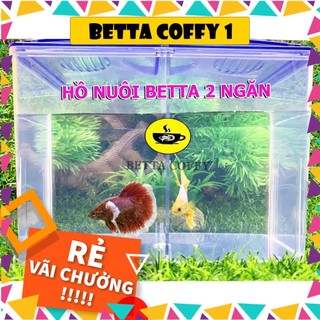 🛀 Bể Cá Mini Siêu tiện lợi - Hồ nuôi cá Betta - Cá Cảnh mini