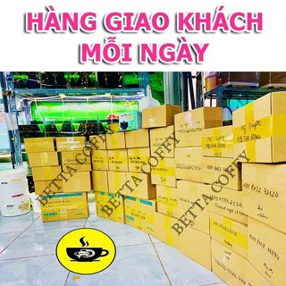 🧲 Hút cặn hồ cá 🐠 Hút phân cá 💩
