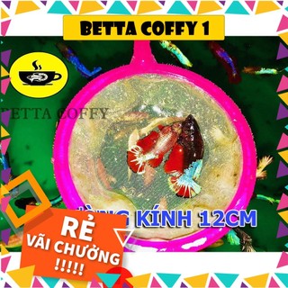 Vợt lọc Artemia Cán Nhựa - Vớt được bobo, Trùn Chỉ