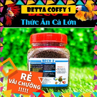 🥩 Cám BECO 2 - Thức ăn cho cá lớn 🐠 BETTA COFFY ☕️