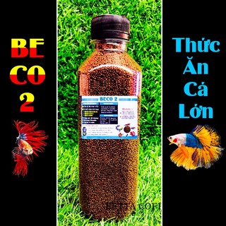 🥩 Cám BECO 2 - Thức ăn cho cá lớn 🐠 BETTA COFFY ☕️