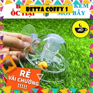 🕸 Bẫy Ốc Gây Hại Hồ Thuỷ Sinh - BETTA COFFY 🐌 XEM KĨ PHÂN LOẠI